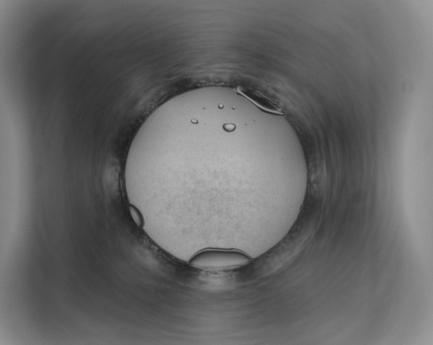 X0000111610231200908071337