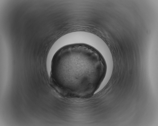 X0000111610235200908071337