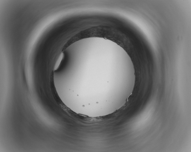 X0000111610239200908071337