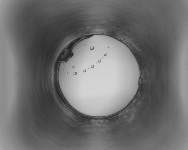X0000111610242200908071336