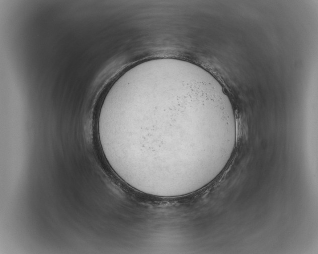 X0000111610243200908071336