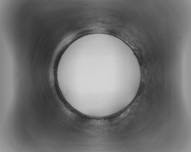 X0000111610245200908071336