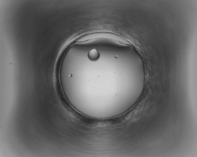 X0000111610248200908071336