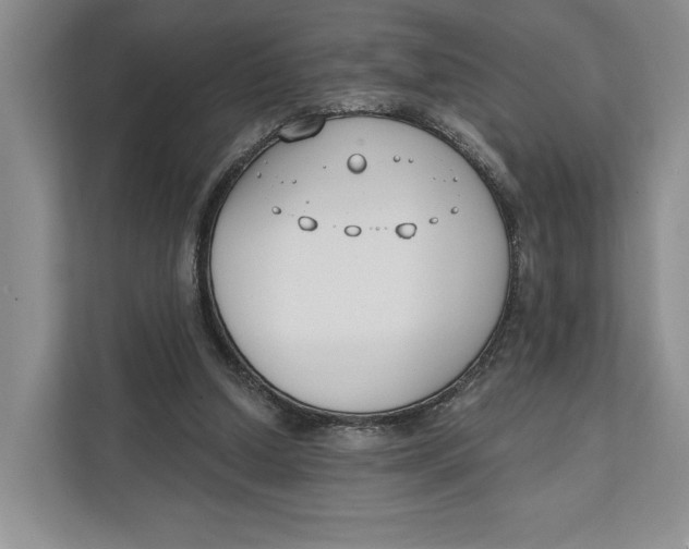 X0000111610250200908071336