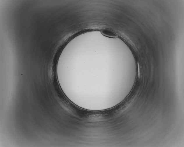 X0000111610252200908071336