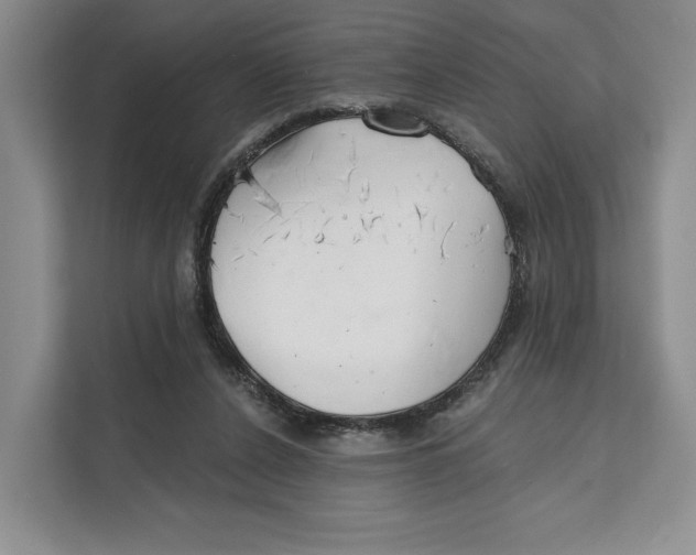 X0000111610256200908071336