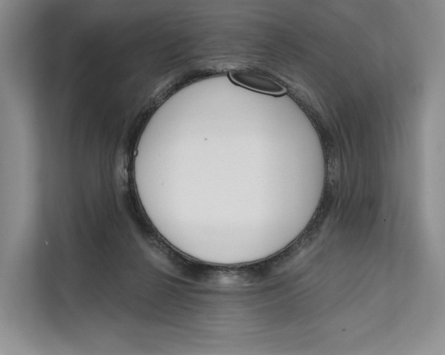 X0000111610264200908071336
