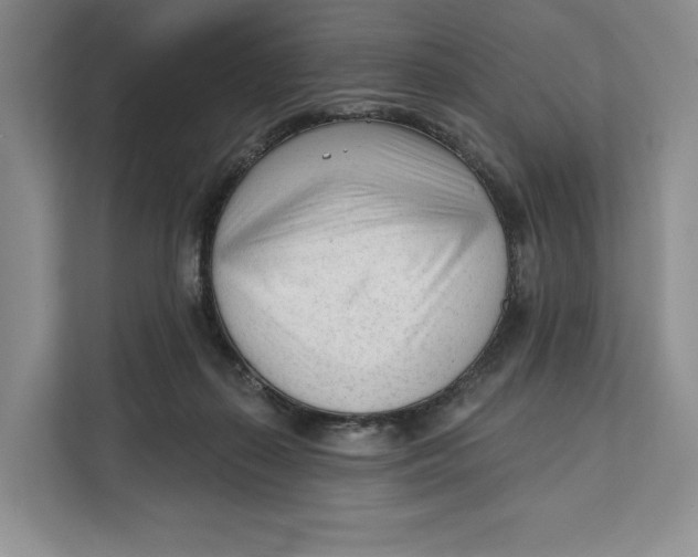 X0000111610267200908071336