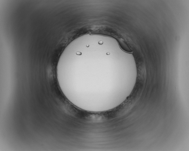 X0000111610272200908071337