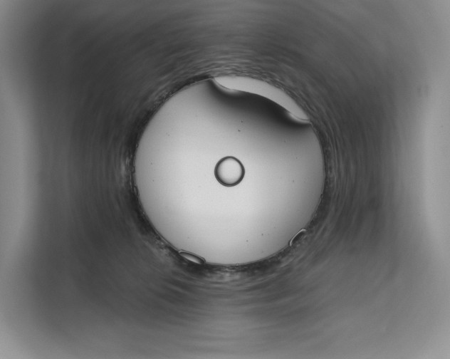 X0000111610276200908071337