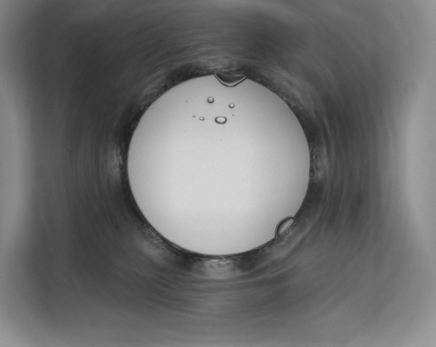 X0000111610279200908071337