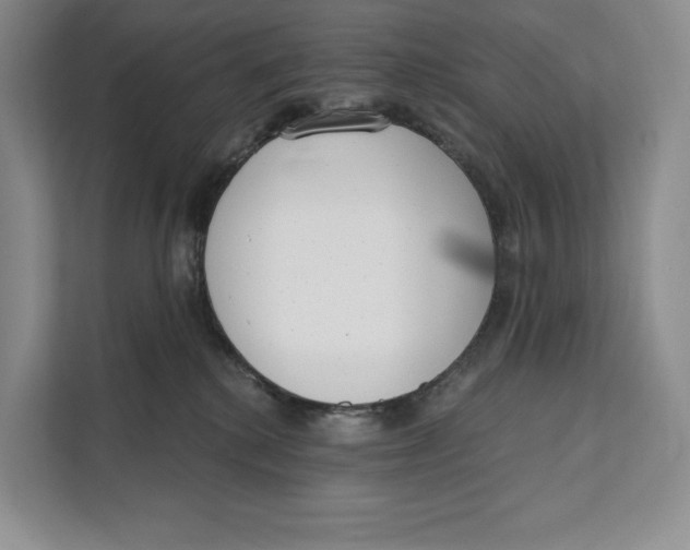 X0000111610280200908071337
