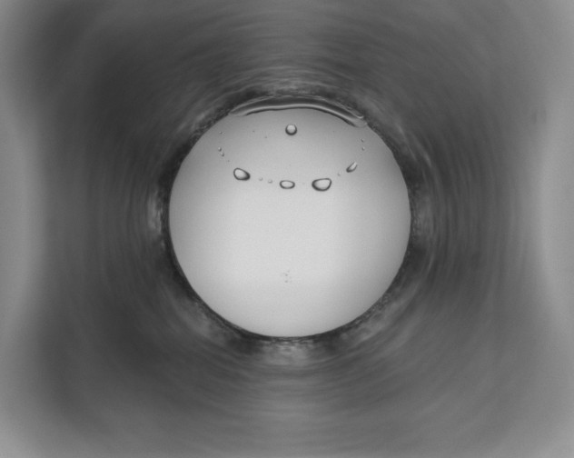 X0000111610282200908071337