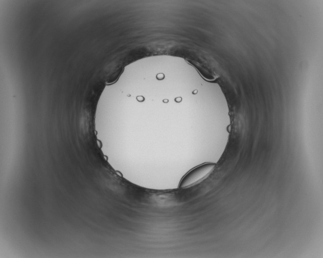 X0000111610283200908071337