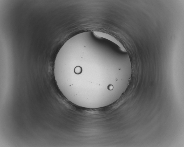 X0000111610284200908071337