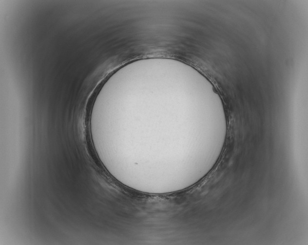 X0000111610290200908071336