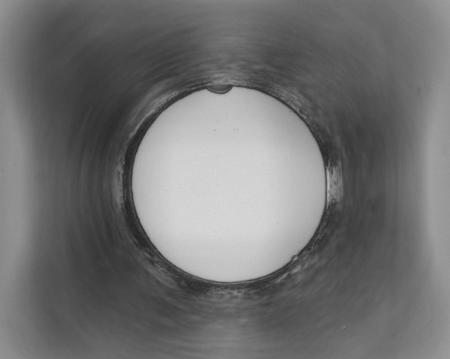 X0000111610291200908071336