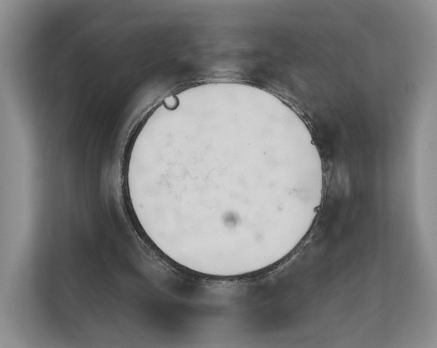 X0000111610293200908071336