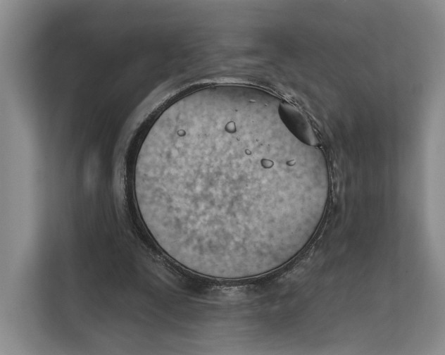 X0000111610295200908071336