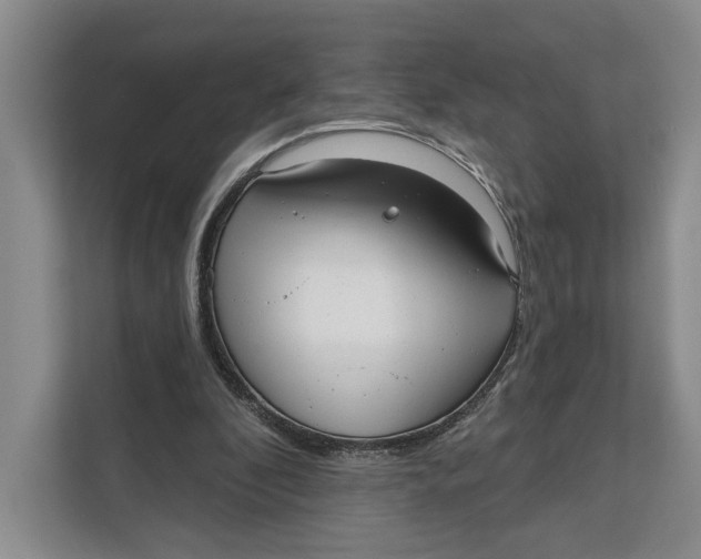 X0000111610296200908071336