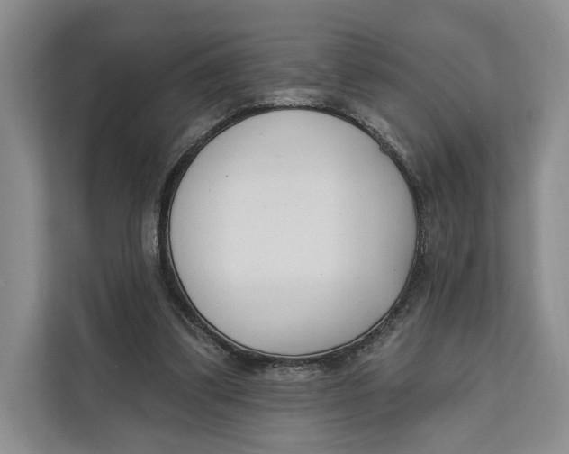 X0000111610299200908071336