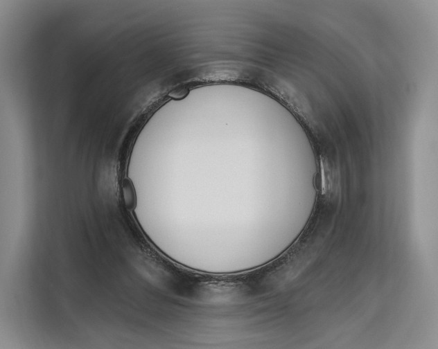 X0000111610300200908071336