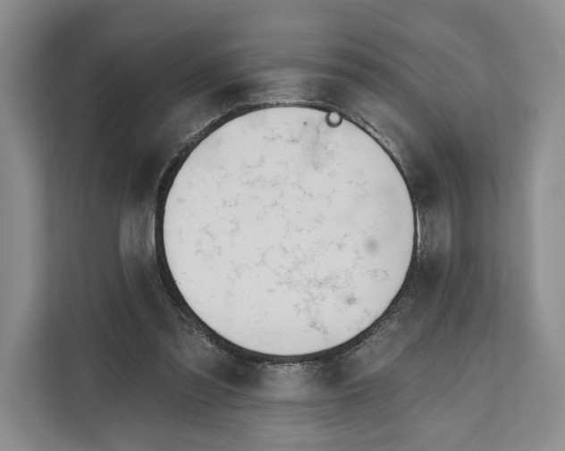 X0000111610301200908071336