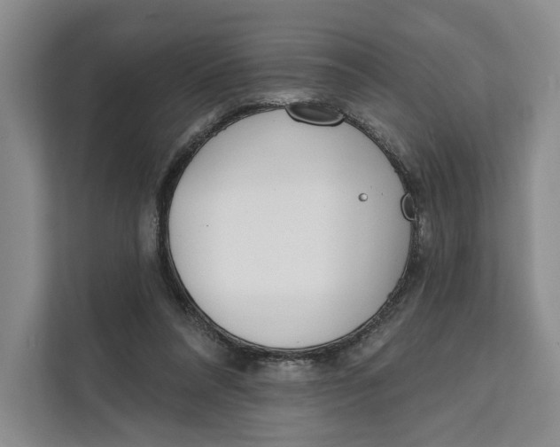 X0000111610304200908071336