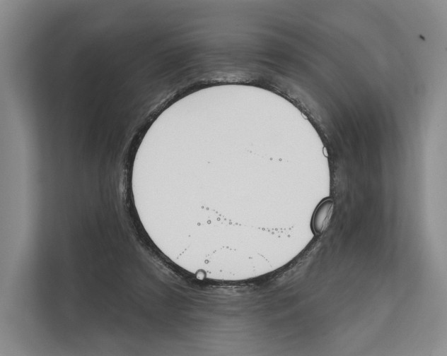 X0000111610305200908071336