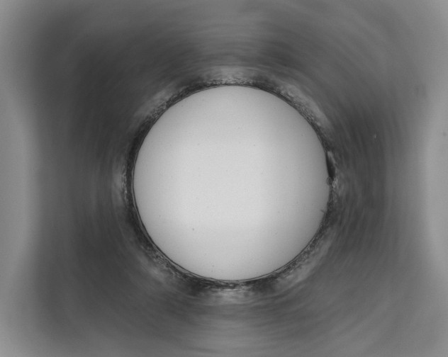 X0000111610306200908071336