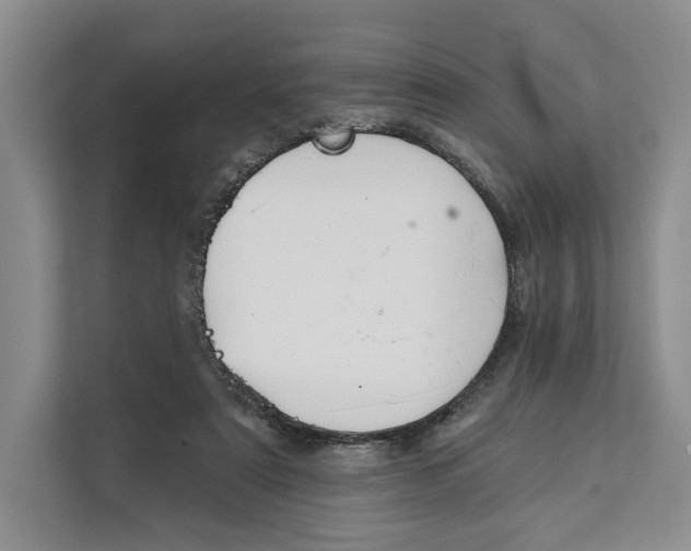 X0000111610307200908071336