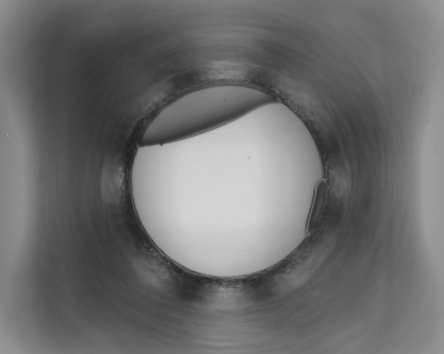X0000111610308200908071336