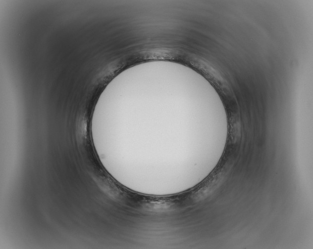 X0000111610310200908071336