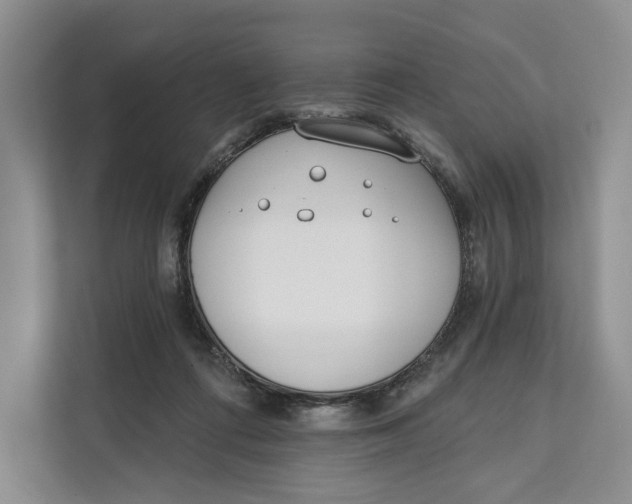 X0000111610312200908071336