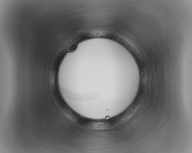 X0000111610315200908071336