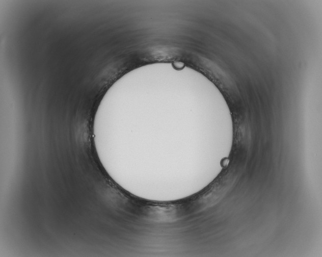 X0000111610317200908071336