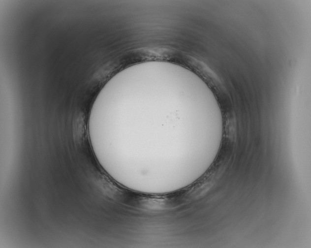 X0000111610318200908071336