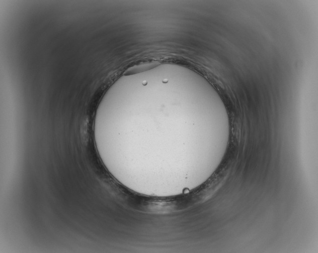 X0000111610319200908071336