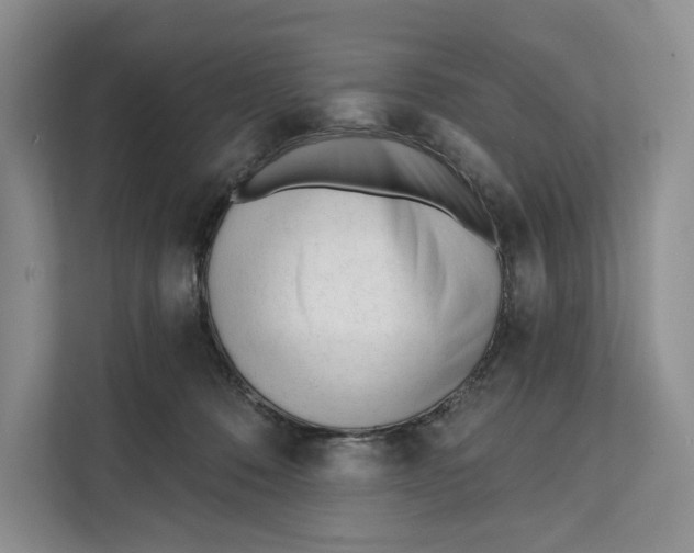 X0000111610320200908071336