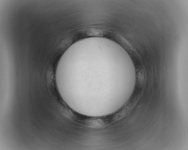 X0000111610322200908071336