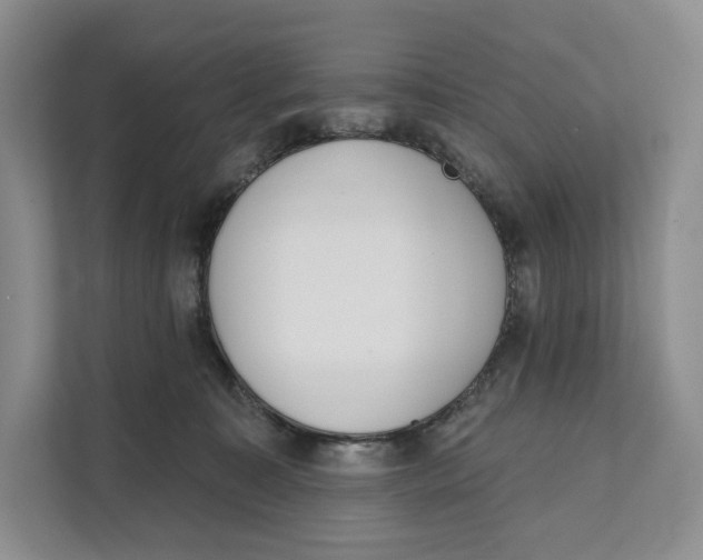 X0000111610323200908071336