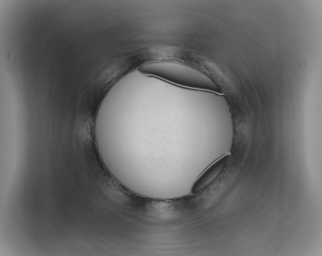 X0000111610325200908071336