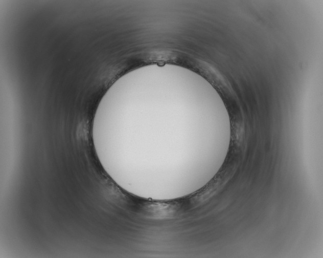 X0000111610326200908071336