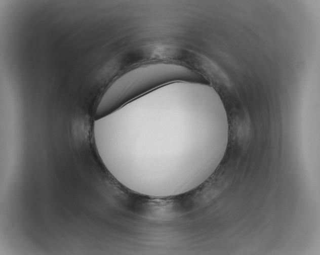 X0000111610328200908071336