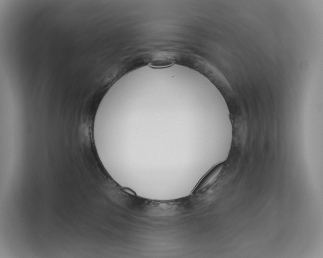 X0000111610329200908071336