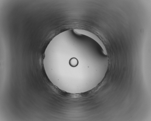 X0000111610333200908071336