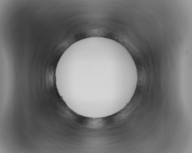 X0000111610334200908071336