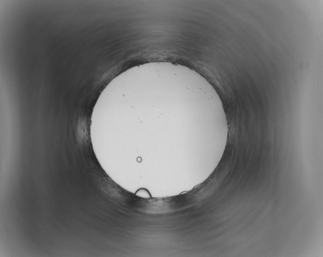 X0000111610335200908071336