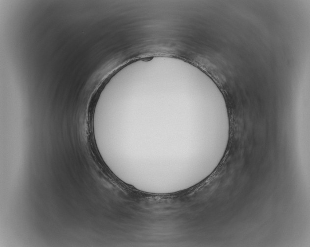 X0000111610338200908071335