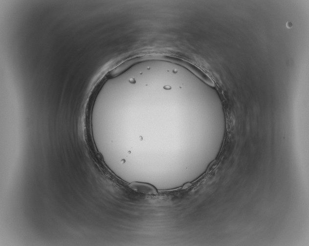 X0000111610340200908071335